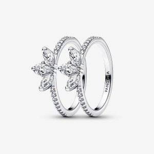 Pandora Ring-sets Silber | ABH-280359