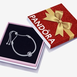 Pandora Sparkling Herbarium Gift Set Charm Silber | YRIQANL-30