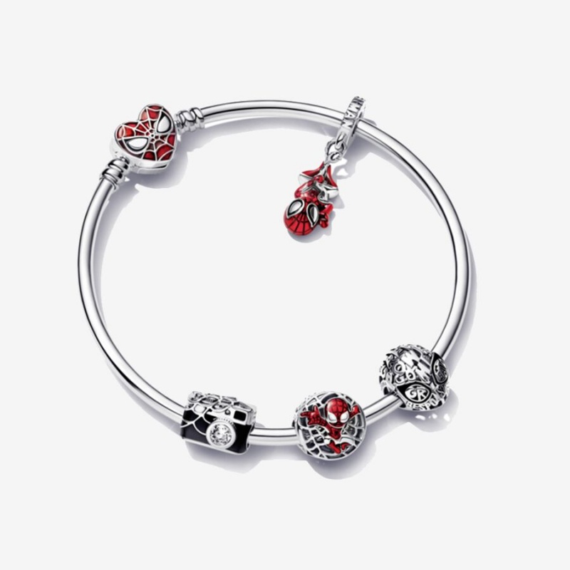 Pandora Armbänder Silber | UAKLGIO-30