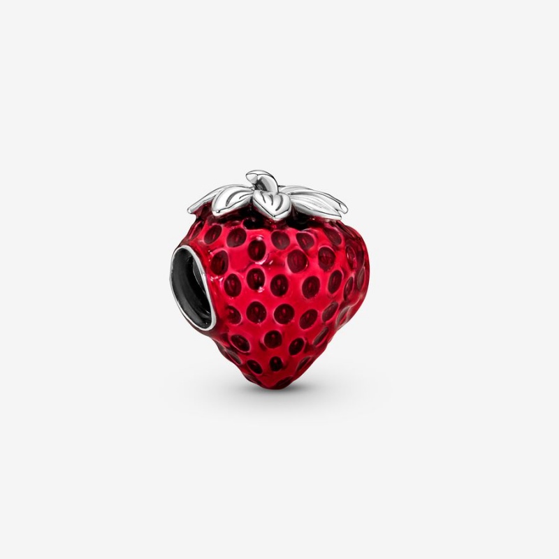 Pandora Charm Holders Silber | XLCKWYG-28