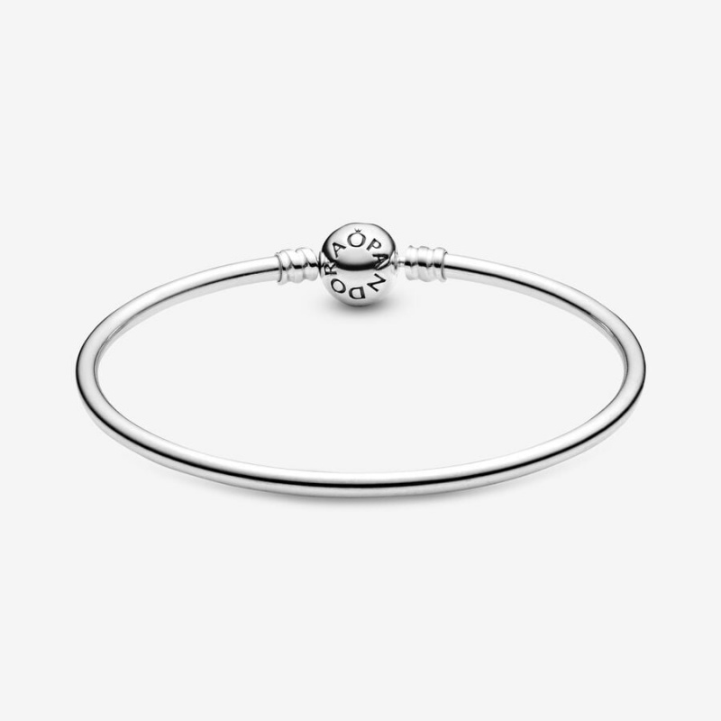 Pandora Moments Bangle Charm Holders Silber | IFGRBVP-63