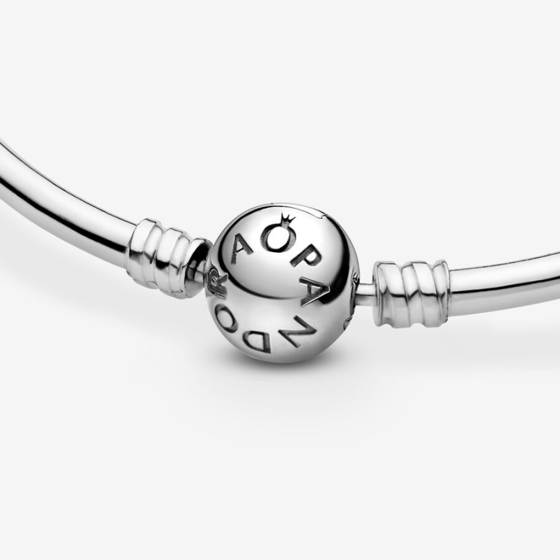 Pandora Moments Bangle Charm Holders Silber | IFGRBVP-63