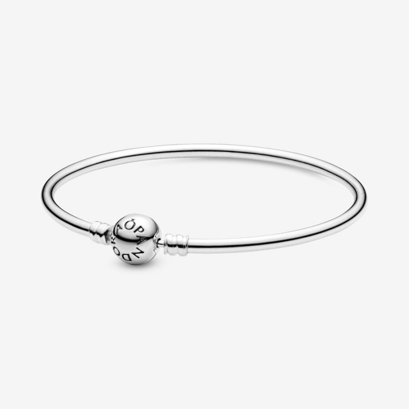 Pandora Moments Bangle Charm Holders Silber | IFGRBVP-63