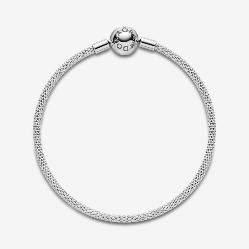 Pandora Moments Mesh Charm Holders Silber | LEKCSZH-79