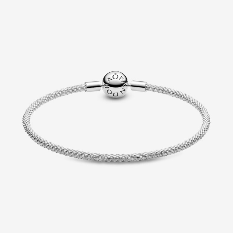 Pandora Moments Mesh Charm Holders Silber | LEKCSZH-79