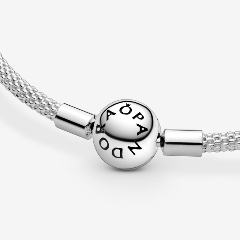 Pandora Moments Mesh Charm Holders Silber | LEKCSZH-79