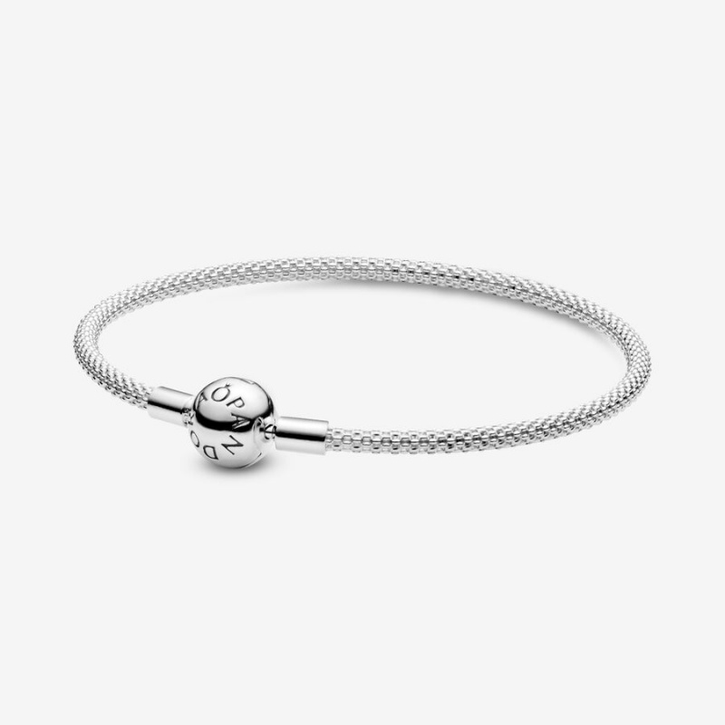 Pandora Moments Mesh Charm Holders Silber | LEKCSZH-79