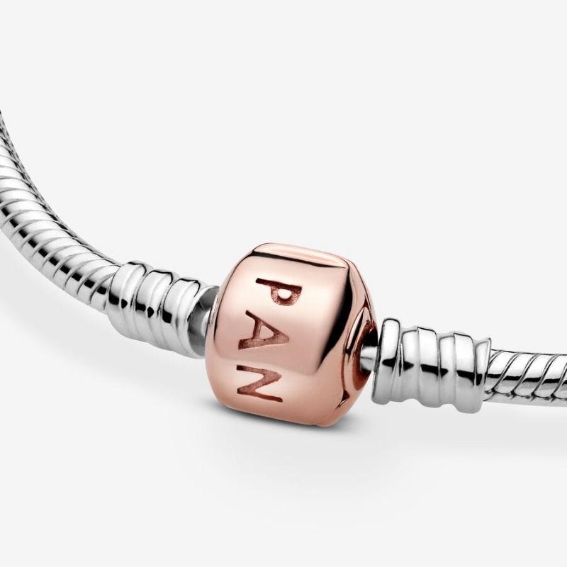 Pandora Moments Snake Charm Holders Two-tone | BRAQFKD-95