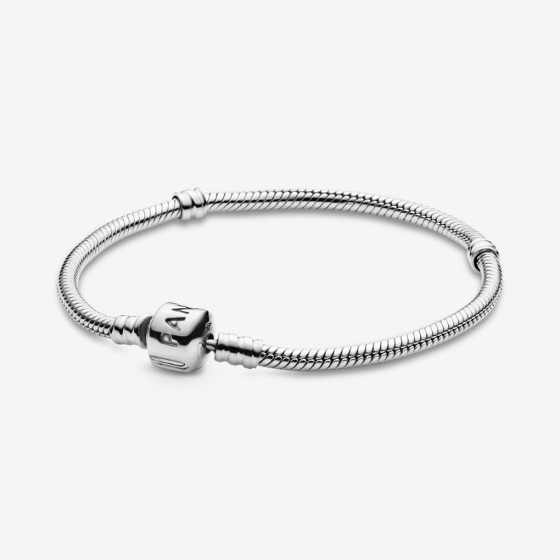 Pandora Moments Snake Charm Silber | PJOFKXZ-23