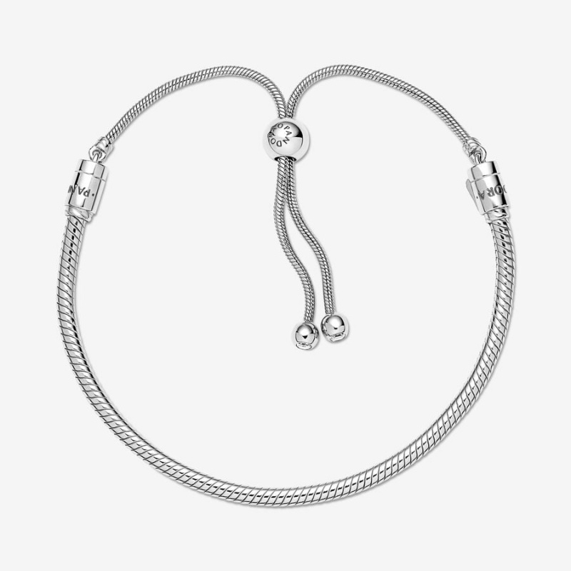 Pandora Moments Snake Slider Charm Holders Silber | VKAWYRE-06