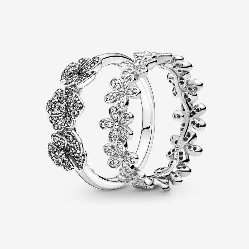 Pandora Ring-sets Silber | QLF-062547