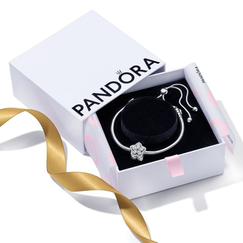 Pandora Sparkling Snowflake Sliding Set Charm Silber | ARUSWLE-71