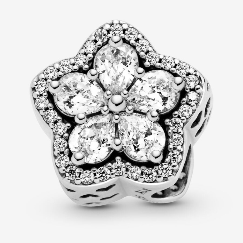 Pandora Sparkling Snowflake Sliding Set Charm Holders Silber | IBLGYWK-84